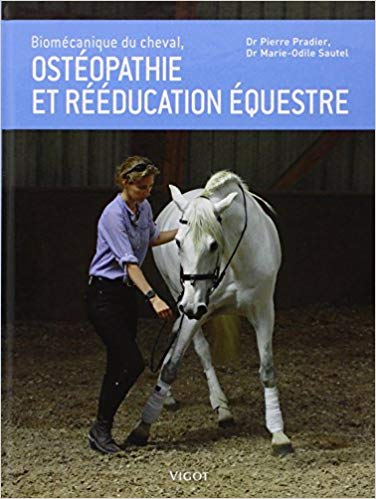 Biomécanique du cheval, ostéopathie et rééducation équestre