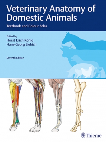 Veterinary Anatomy of Domestic Animals Textbook and Colour Atlas