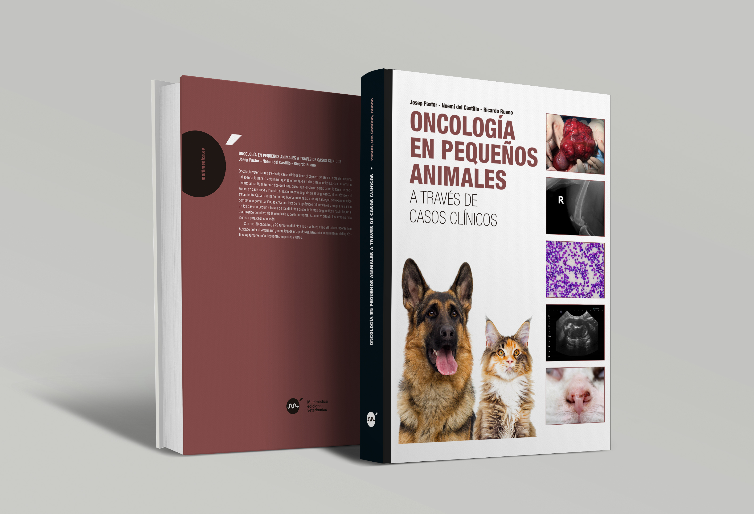 Oncología en pequeños animales  a través de casos clínicos