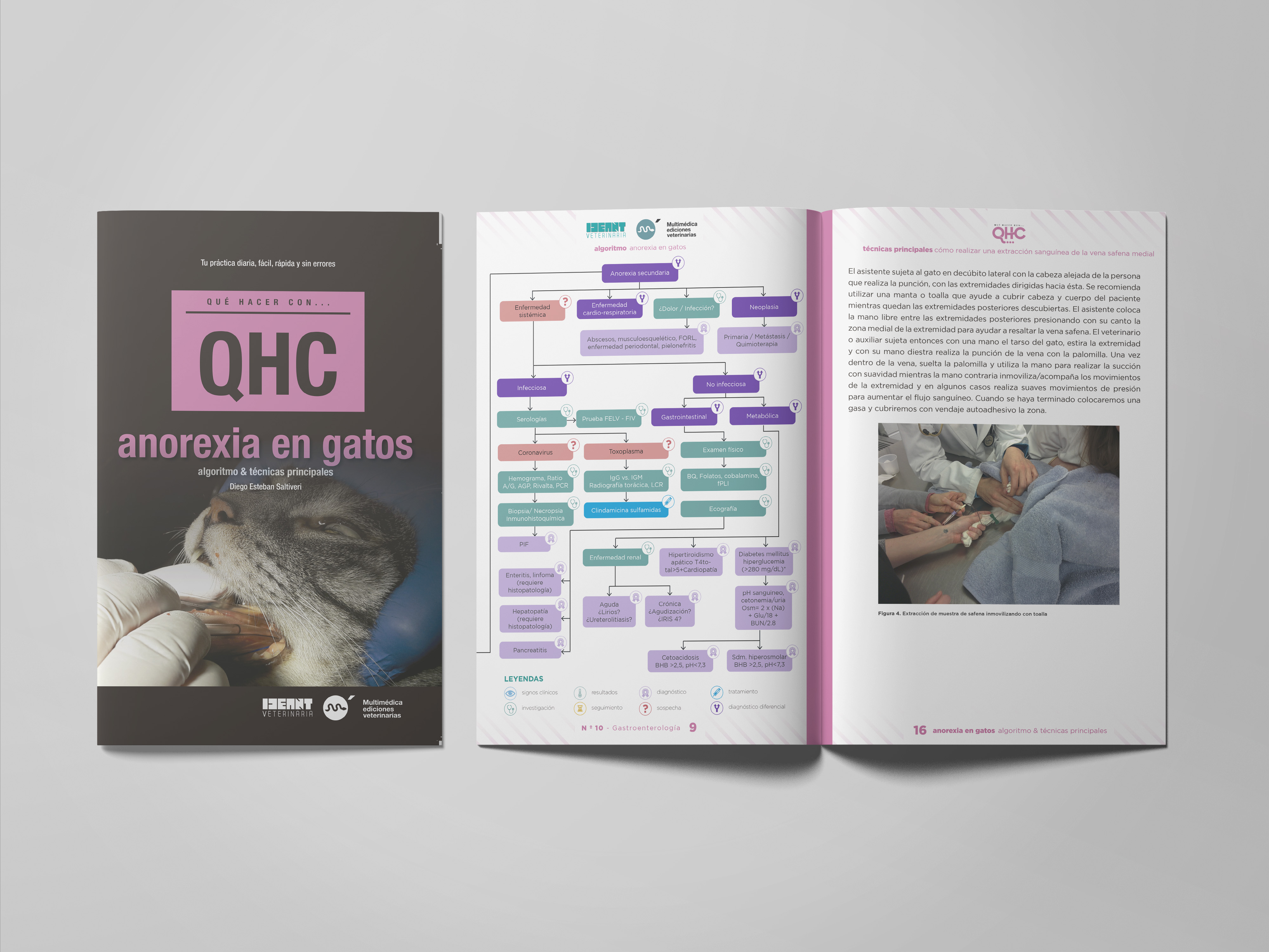 Revista QHC Anorexia en Gatos