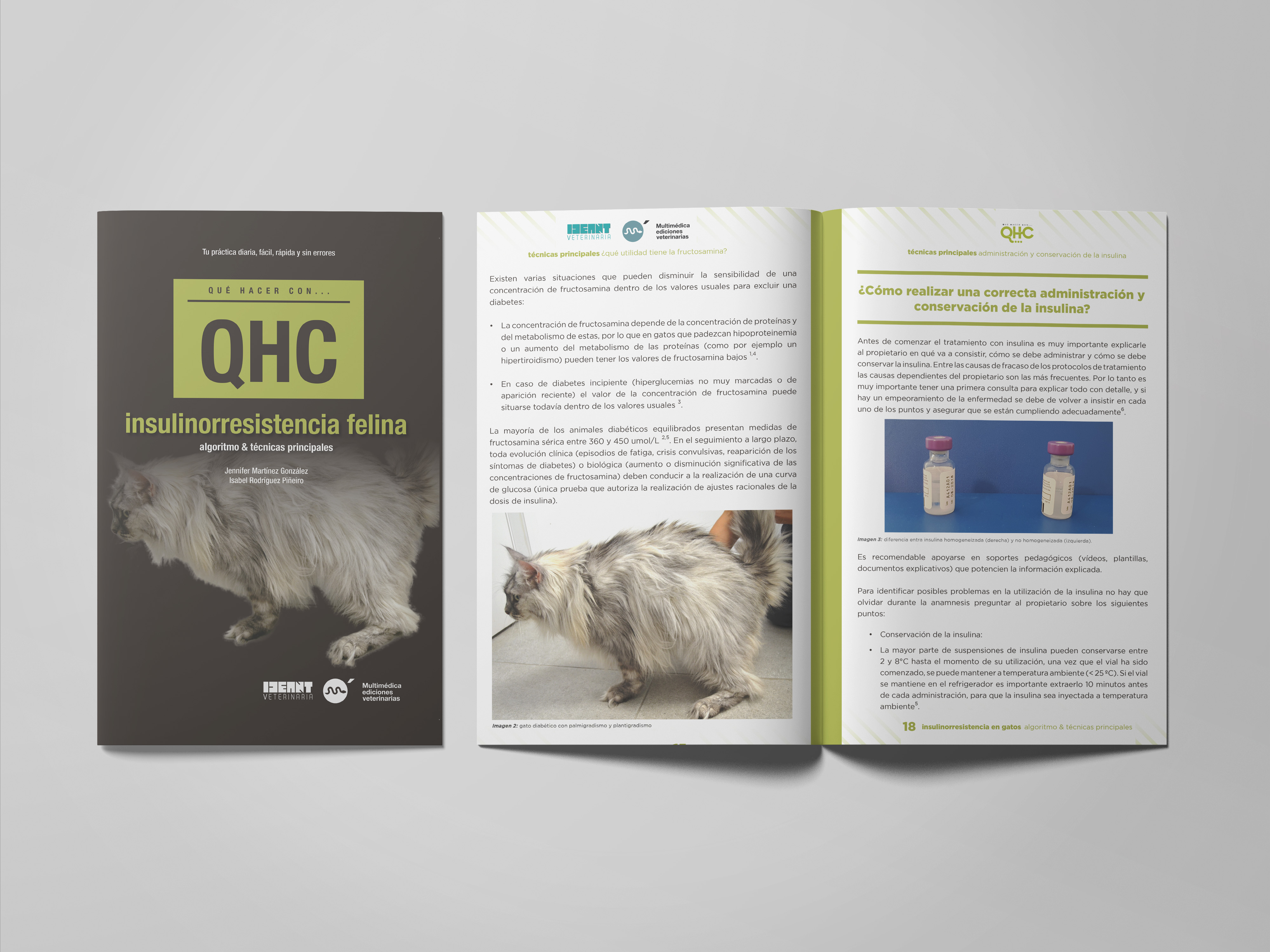 Revista QHC Insulinorresistencia Felina, algoritmo & técnicas principales