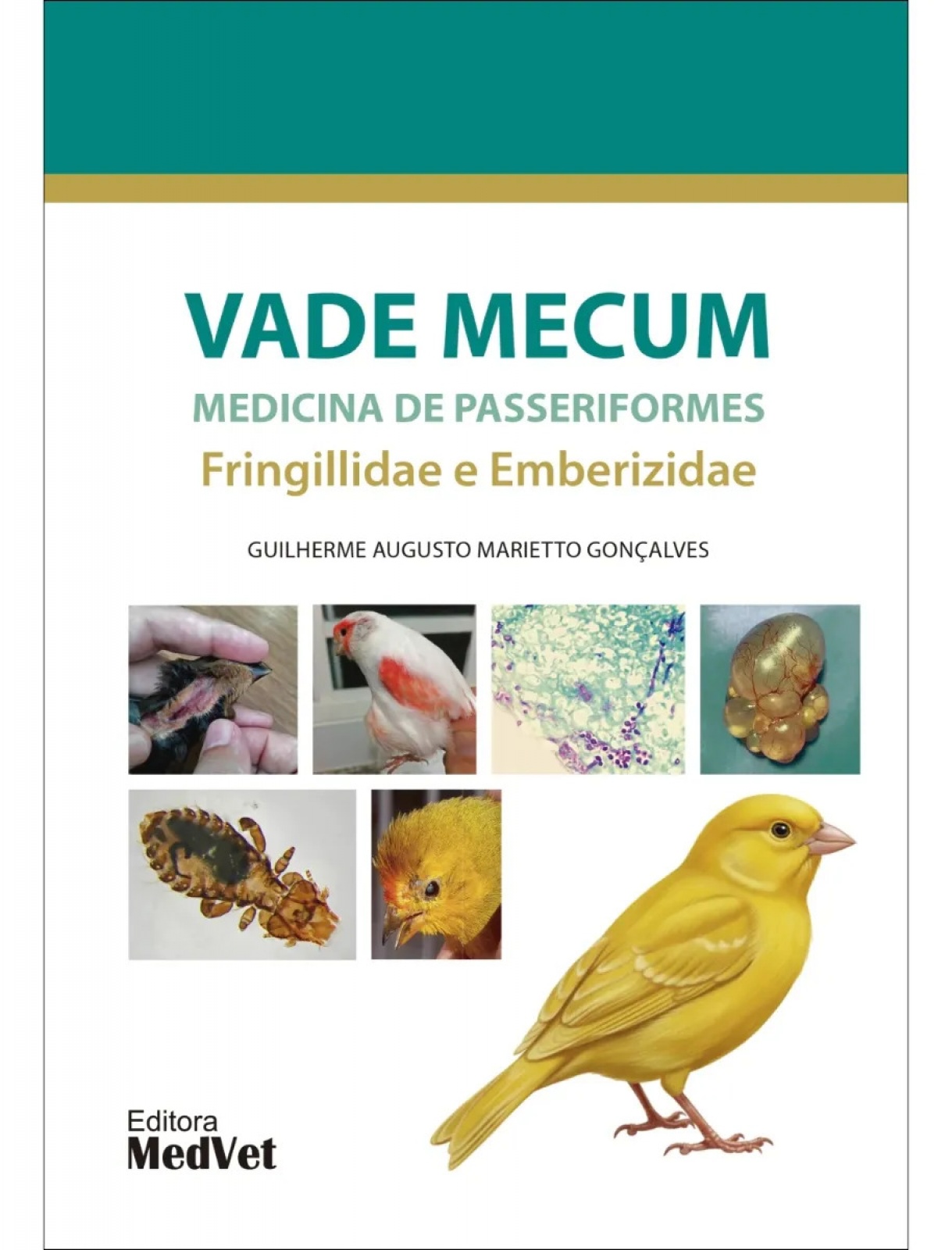 Vade Mecum: Medicina de Passeriformes