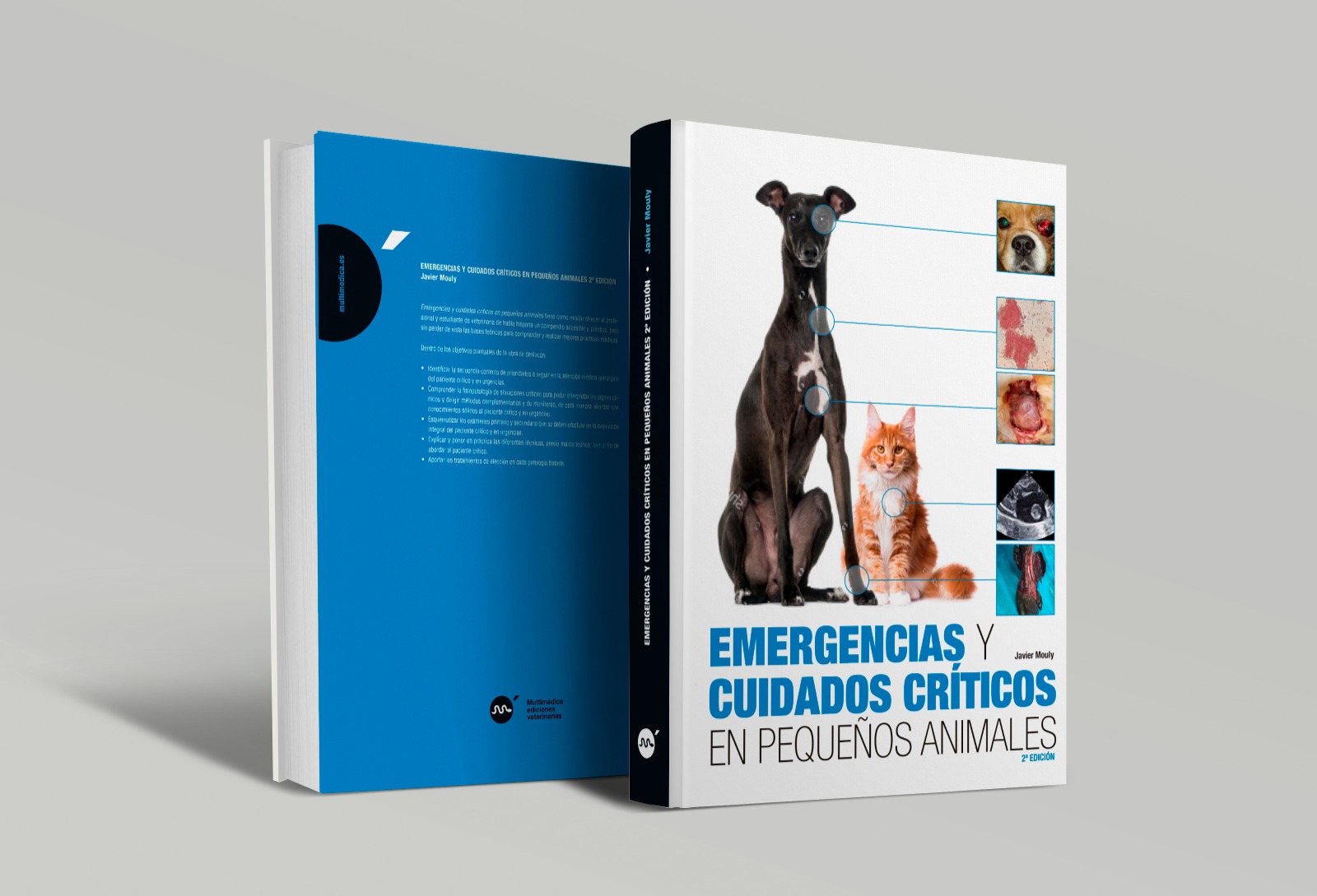 Emergencias y cuidados críticos en pequeños animales, 2ª edición