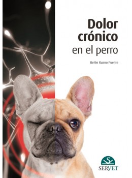Dolor crónico en el perro