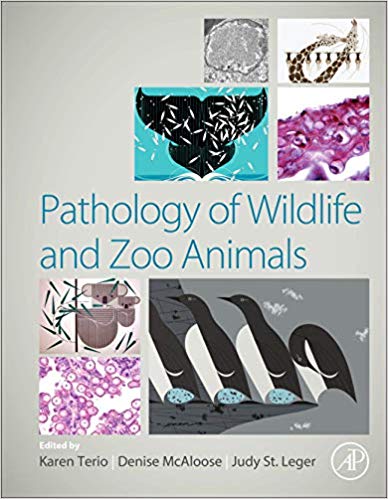 Pathology of Wildlife and Zoo Animals 1st Edition