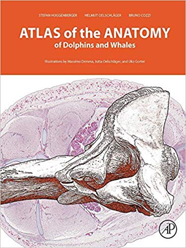 Atlas of the Anatomy of Dolphins and Whales, 1st Edition