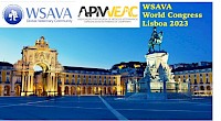 Congresso Mundial de Veterinária de Animais de Companhia de 2023 realiza-se em Lisboa