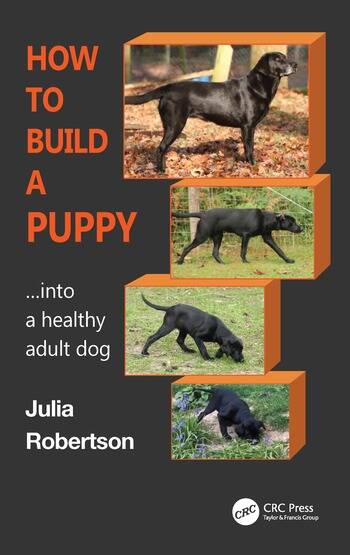 How to Build a Puppy Into a Healthy Adult Dog