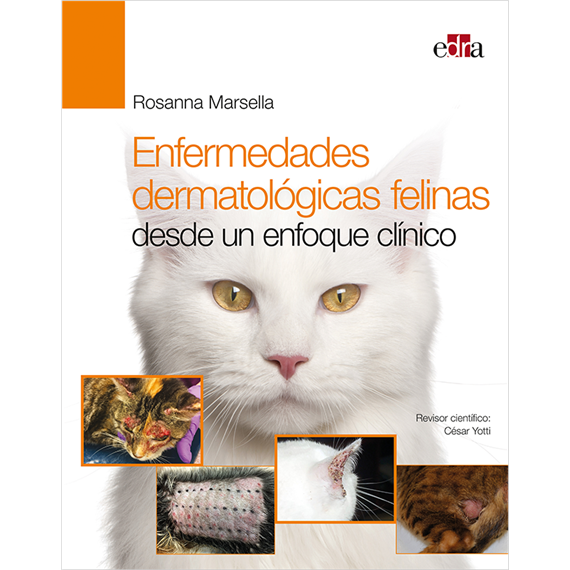 Enfermedades dermatológicas felinas desde un enfoque clínico
