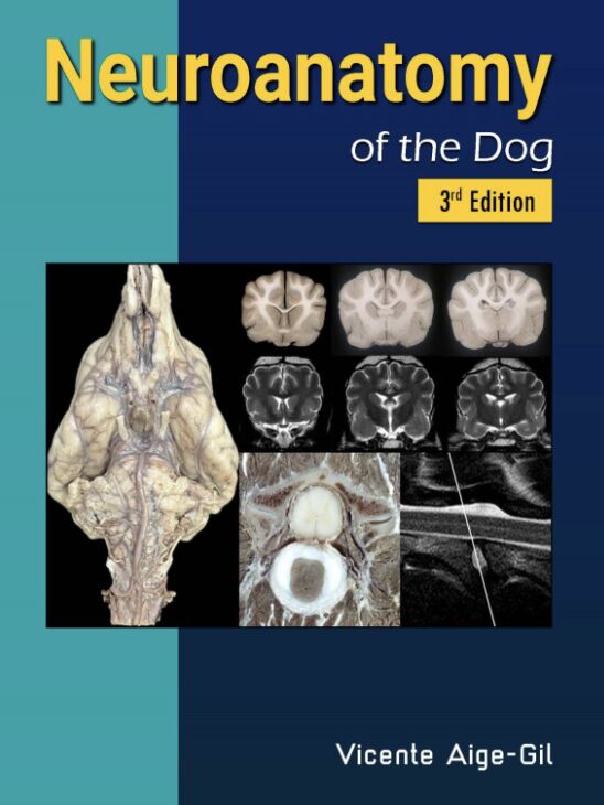 Neuroanatomy of the Dog – Third Edition