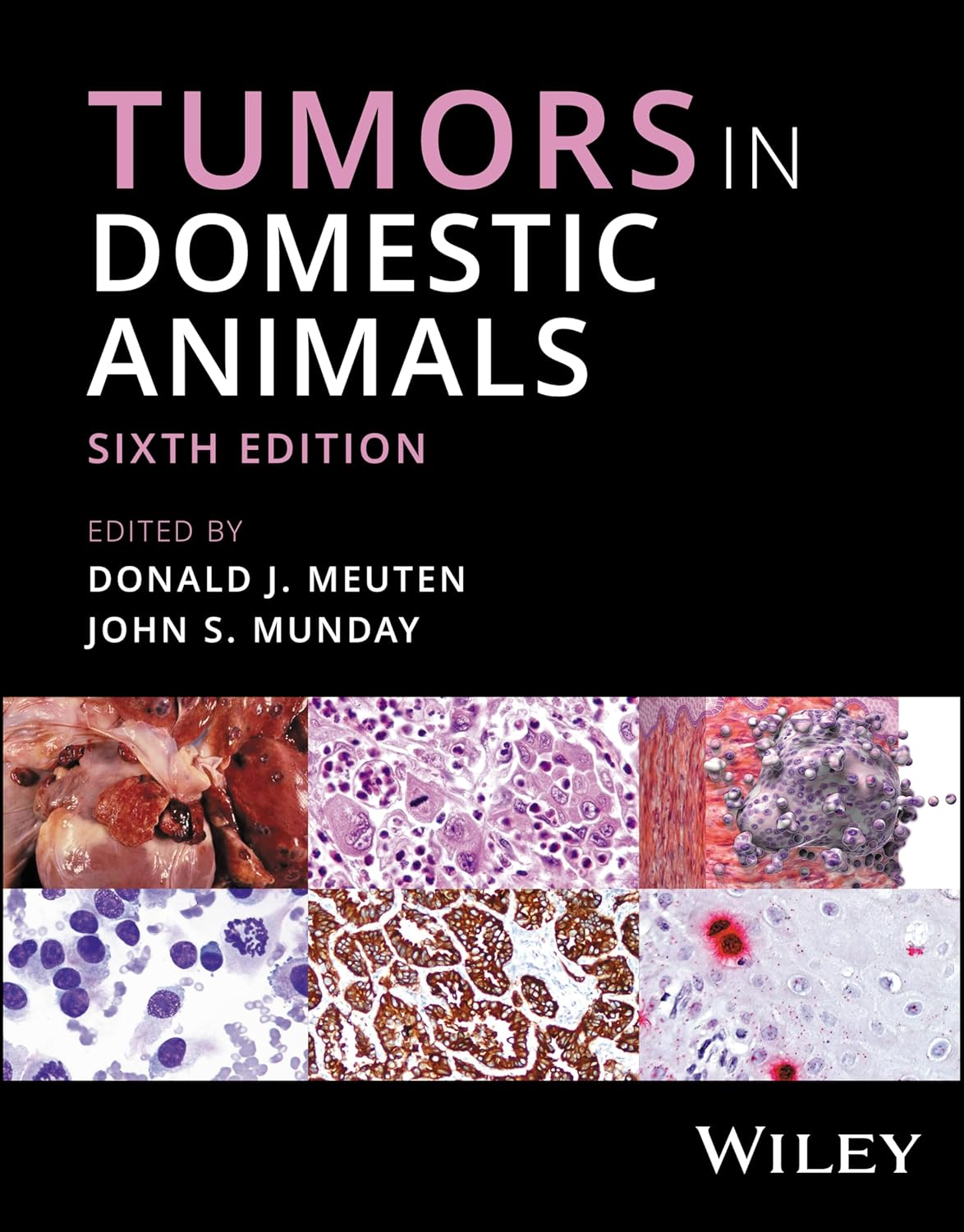 Tumors in Domestic Animals, 6th Edition