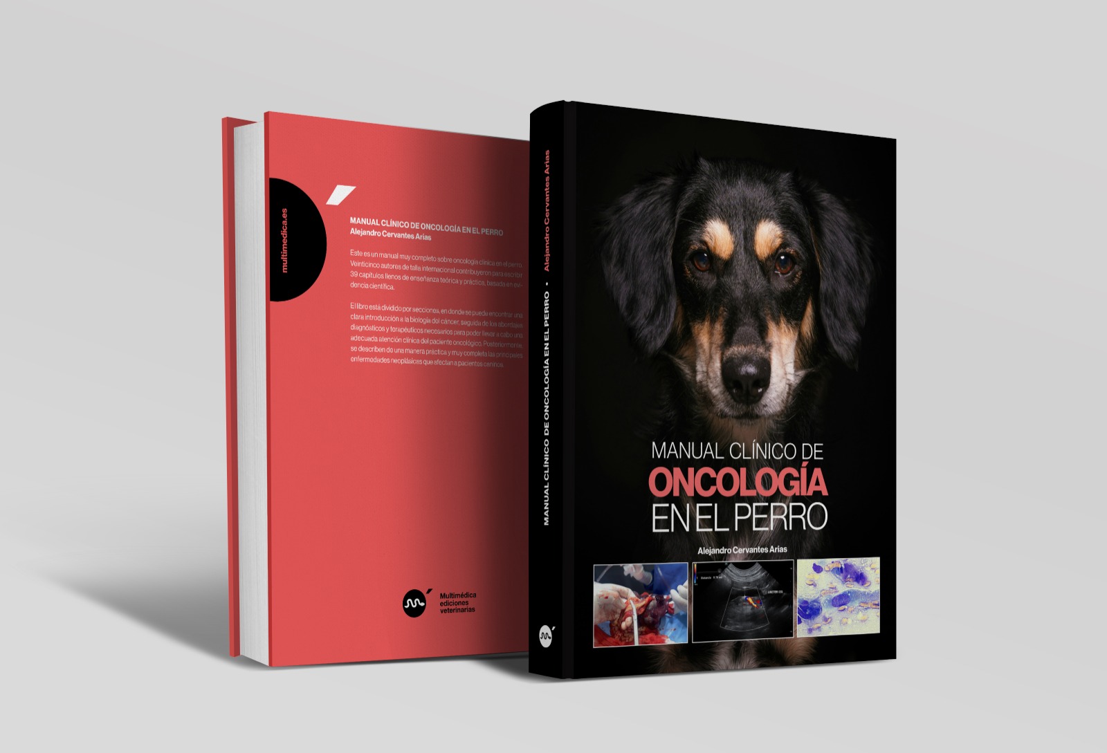 Manual clínico de oncología en el perro